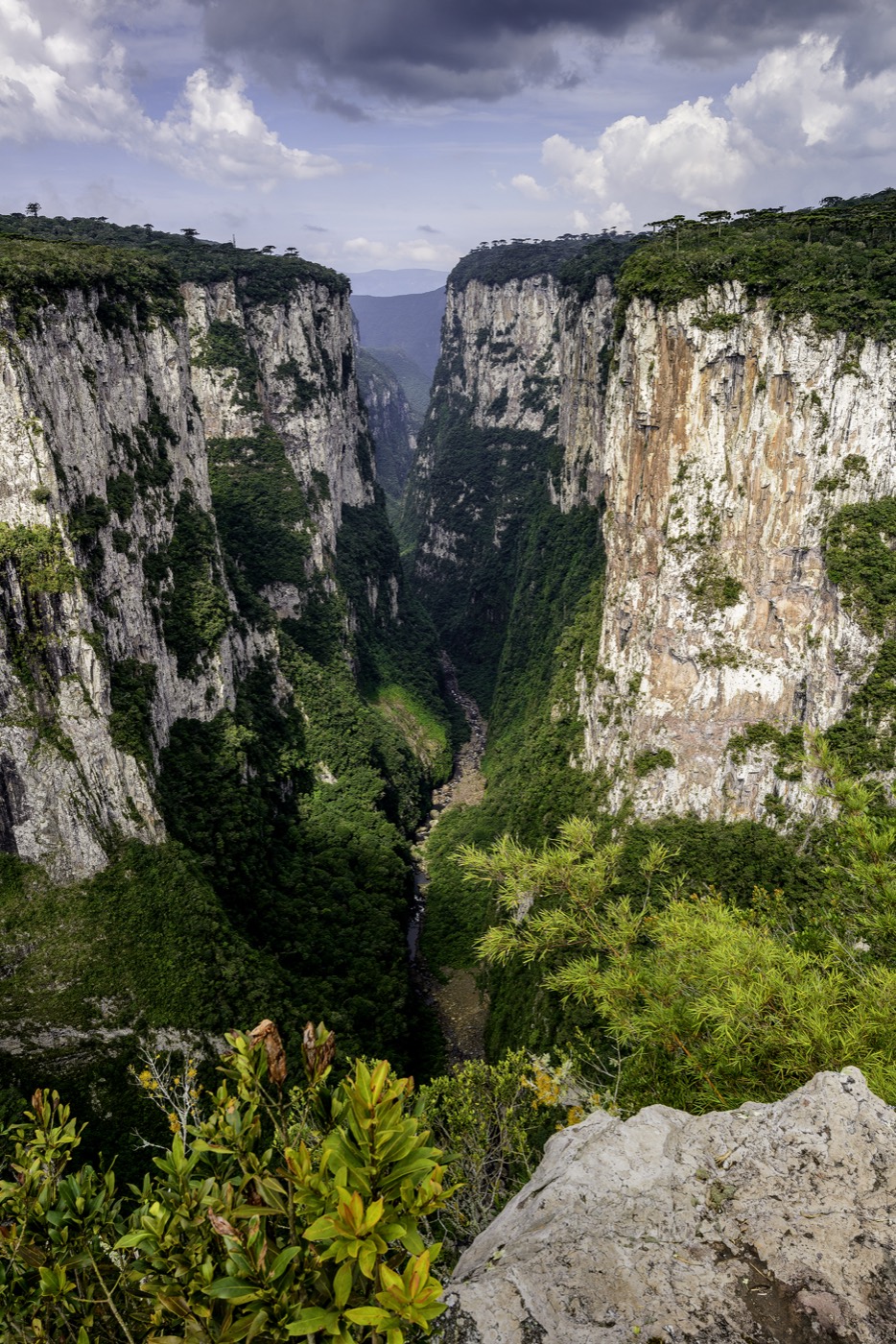 Foto real de referência turística de Aparados da Serra, Brasil